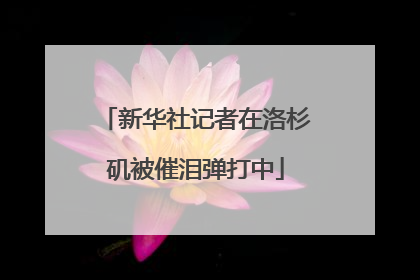 新华社记者在洛杉矶被催泪弹打中