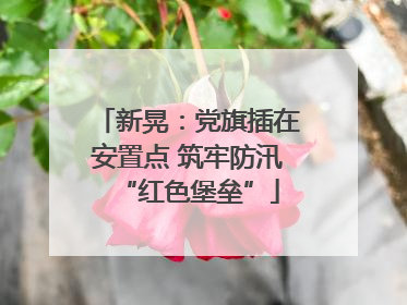 新晃：党旗插在安置点 筑牢防汛“红色堡垒”