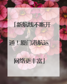 新航线不断开通！厦门港航运网络更丰富