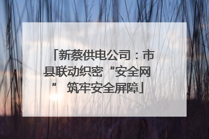 新蔡供电公司：市县联动织密“安全网” 筑牢安全屏障