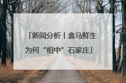 新闻分析丨盒马鲜生为何“相中”石家庄