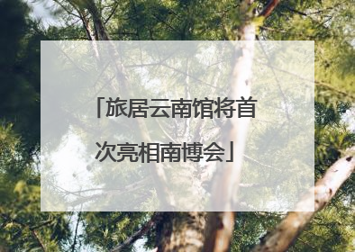 旅居云南馆将首次亮相南博会