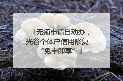 无须申请自动办，光谷个体户信用修复“免申即享”