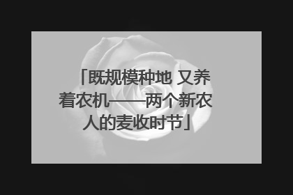既规模种地 又养着农机——两个新农人的麦收时节