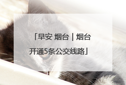 早安 烟台｜烟台开通5条公交线路