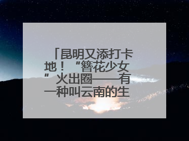 昆明又添打卡地！“簪花少女”火出圈——有一种叫云南的生活之365天