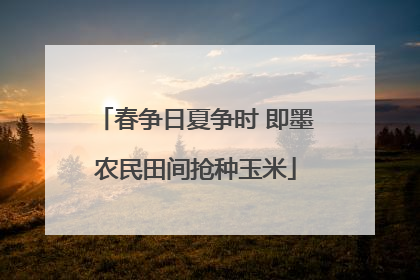 春争日夏争时 即墨农民田间抢种玉米