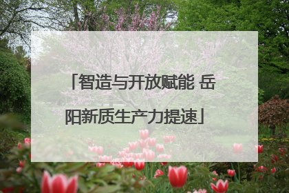 智造与开放赋能 岳阳新质生产力提速