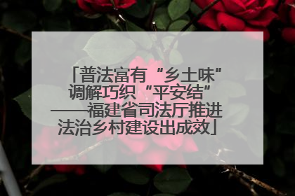普法富有“乡土味” 调解巧织“平安结”——福建省司法厅推进法治乡村建设出成效