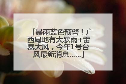 暴雨蓝色预警！广西局地有大暴雨+雷暴大风，今年1号台风最新消息……