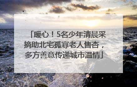暖心！5名少年清晨采摘助北宅孤寡老人售杏，多方善意传递城市温情