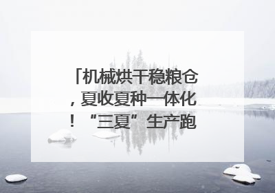 机械烘干稳粮仓，夏收夏种一体化！“三夏”生产跑出加速度｜麦报
