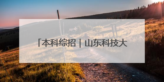 本科综招｜山东科技大学本科综招180人
