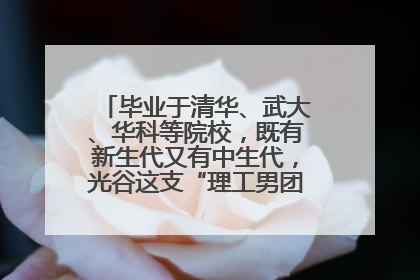 毕业于清华、武大、华科等院校，既有新生代又有中生代，光谷这支“理工男团”为何“出道”？