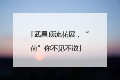 武昌顶流花展，“荷”你不见不散