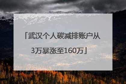 武汉个人碳减排账户从3万暴涨至160万