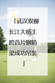武汉双柳长江大桥主跨首片钢箱梁成功吊装