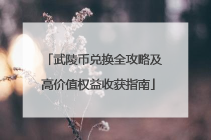 武陵币兑换全攻略及高价值权益收获指南