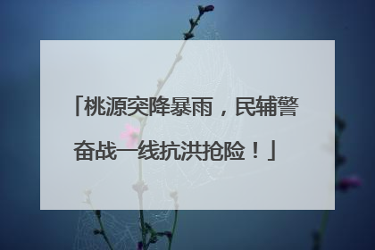 桃源突降暴雨，民辅警奋战一线抗洪抢险！