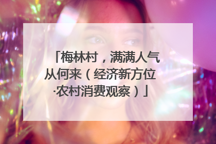 梅林村，满满人气从何来（经济新方位·农村消费观察）