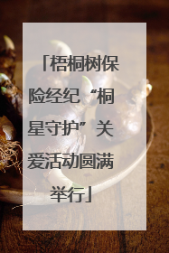 梧桐树保险经纪“桐星守护”关爱活动圆满举行