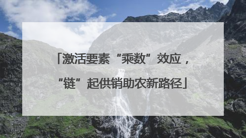 激活要素“乘数”效应，“链”起供销助农新路径