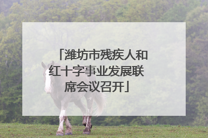 潍坊市残疾人和红十字事业发展联席会议召开