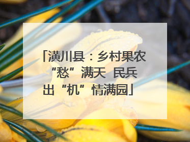 潢川县：乡村果农“愁”满天  民兵出“机”情满园