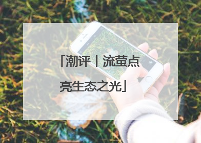 潮评丨流萤点亮生态之光