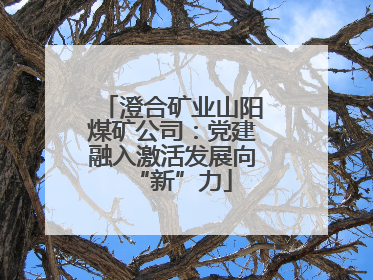澄合矿业山阳煤矿公司：党建融入激活发展向“新”力
