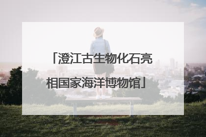 澄江古生物化石亮相国家海洋博物馆