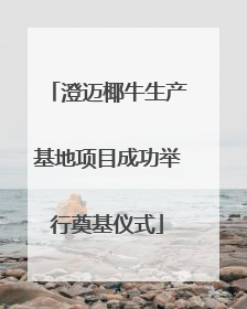 澄迈椰牛生产基地项目成功举行奠基仪式