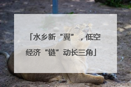 水乡新“翼”，低空经济“链”动长三角