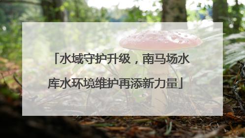 水域守护升级，南马场水库水环境维护再添新力量