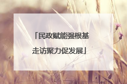 民政赋能强根基 走访聚力促发展