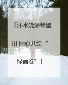 汗水浇灌希望田 同心共绘“绿画卷”