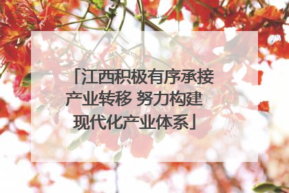 江西积极有序承接产业转移 努力构建现代化产业体系