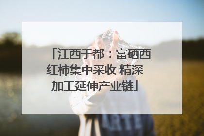 江西于都：富硒西红柿集中采收 精深加工延伸产业链