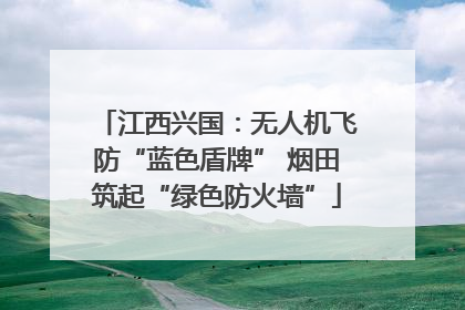 江西兴国：无人机飞防“蓝色盾牌” 烟田筑起“绿色防火墙”