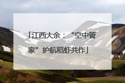 江西大余：“空中管家”护航稻虾共作