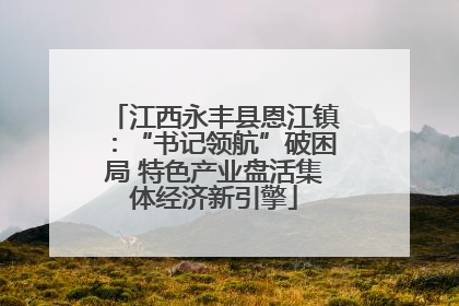 江西永丰县恩江镇：“书记领航”破困局 特色产业盘活集体经济新引擎