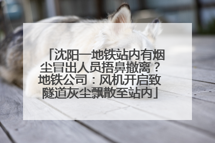 沈阳一地铁站内有烟尘冒出人员捂鼻撤离？地铁公司：风机开启致隧道灰尘飘散至站内