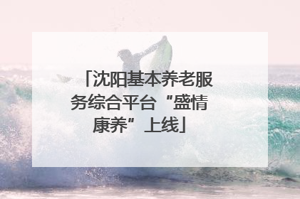 沈阳基本养老服务综合平台“盛情康养”上线