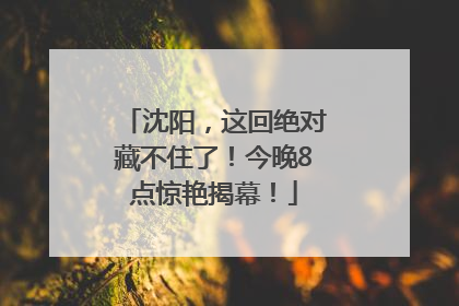 沈阳，这回绝对藏不住了！今晚8点惊艳揭幕！