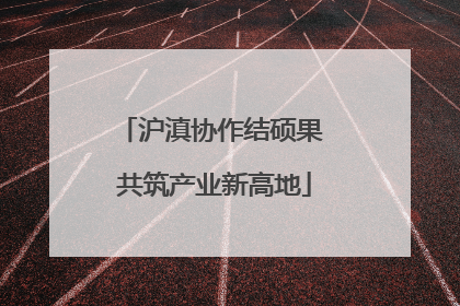 沪滇协作结硕果 共筑产业新高地