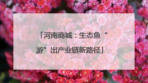 河南商城：生态鱼“游”出产业链新路径