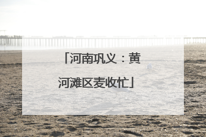 河南巩义：黄河滩区麦收忙