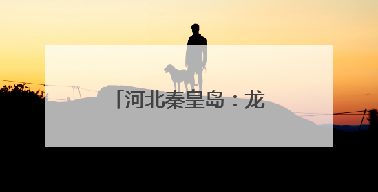 河北秦皇岛：龙舟竞渡迎端午