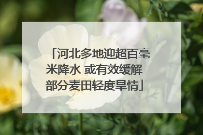 河北多地迎超百毫米降水 或有效缓解部分麦田轻度旱情