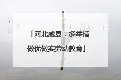 河北威县：多举措做优做实劳动教育